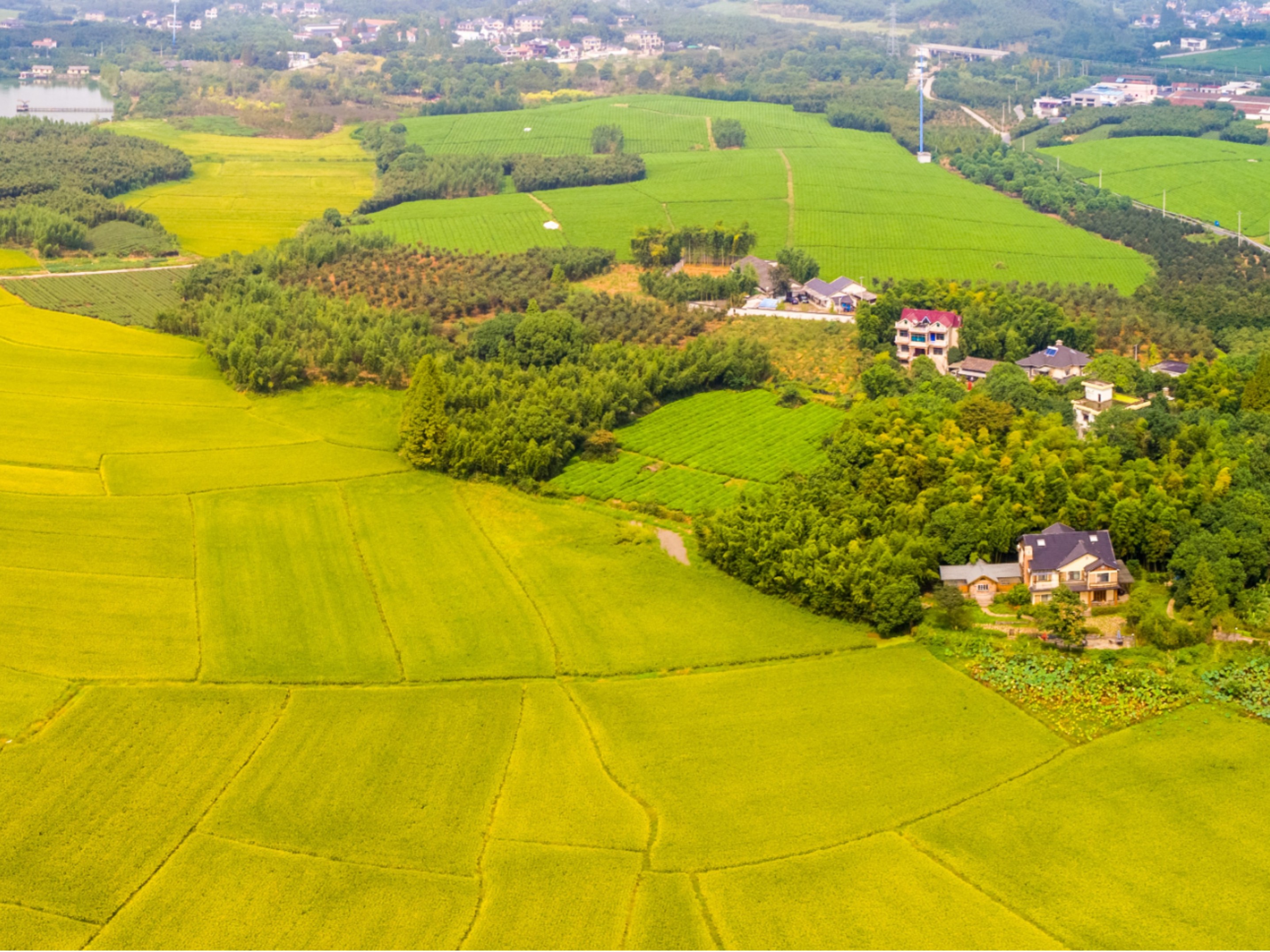 美麗農(nóng)村